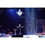 Люстра Елизавета в Новокузнецке Люстра Елизавета в Новокузнецке