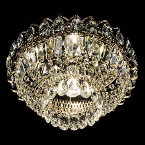 Люстра Астра Бутон №1 в Новокузнецке Гусь Хрустальный