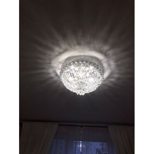 Люстра Астра Бутон в Новокузнецке Гусь Хрустальный