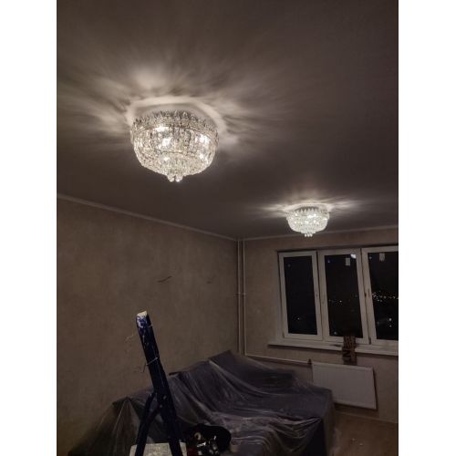 Люстра Астра Корона №5 в Новокузнецке Гусь Хрустальный