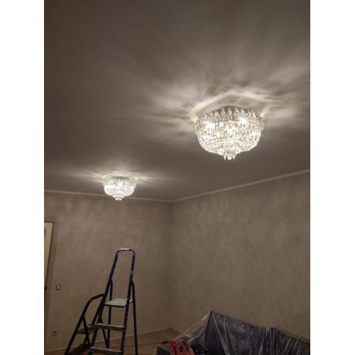 Люстра Астра Корона №5 в Новокузнецке Гусь Хрустальный