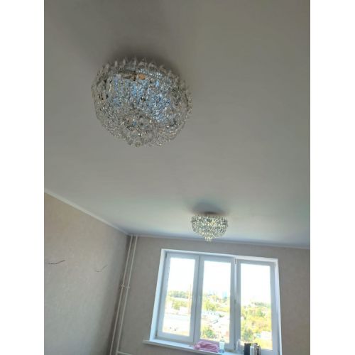 Люстра Астра Корона №5 в Новокузнецке Гусь Хрустальный