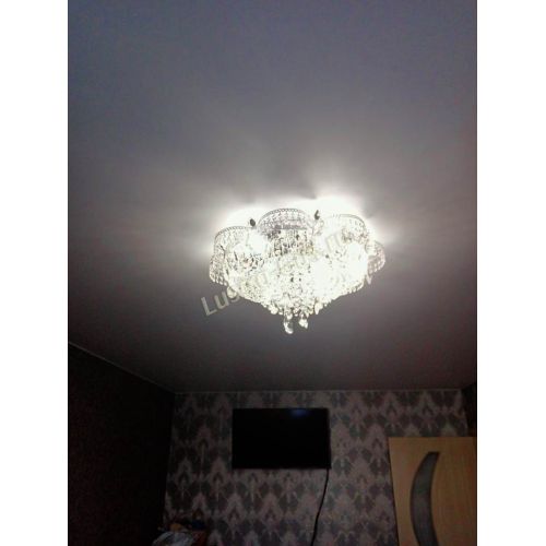 Люстра Камея №1 в Новокузнецке Гусь Хрустальный